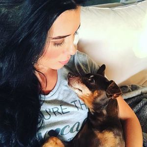 Meet your Posher, Clenet